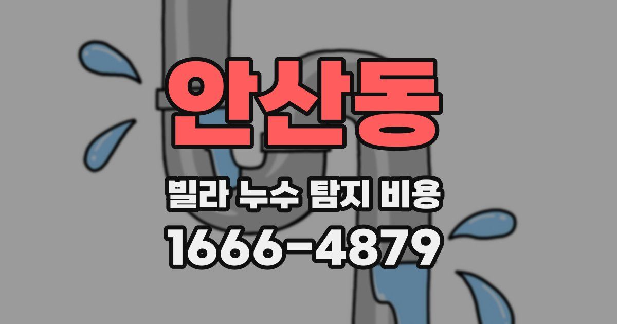 안산동 빌라 누수 탐지 비용