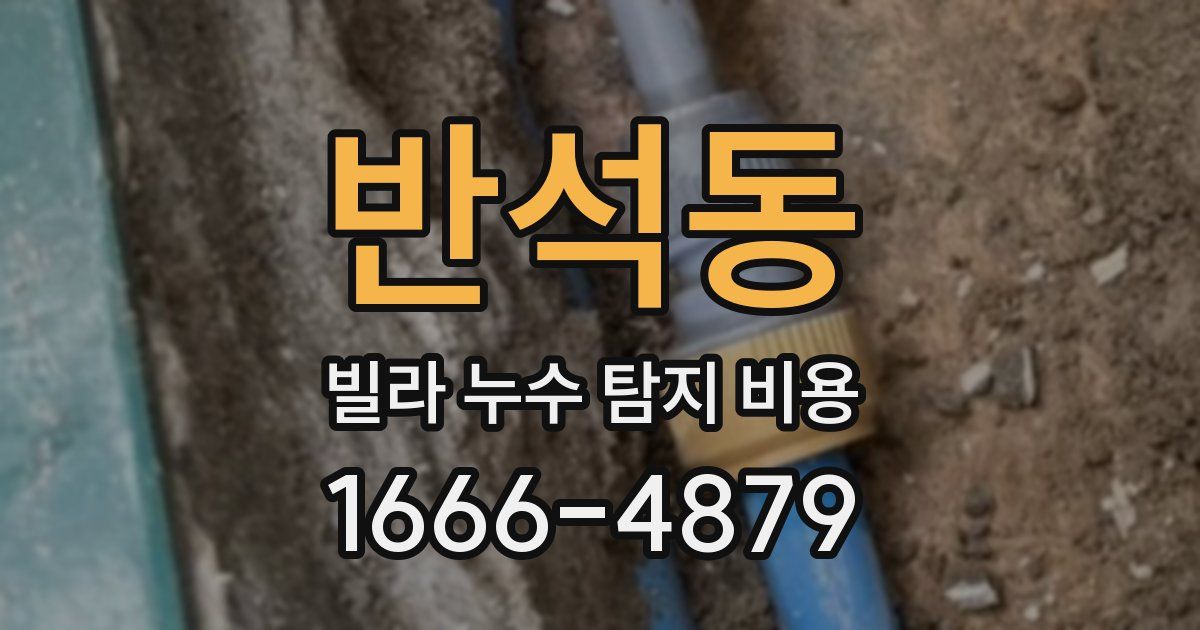 반석동 빌라 누수 탐지 비용