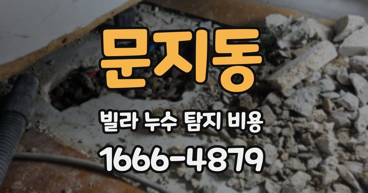 문지동 빌라 누수 탐지 비용