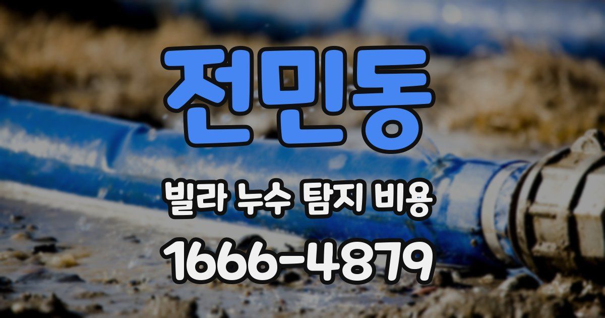 전민동 빌라 누수 탐지 비용