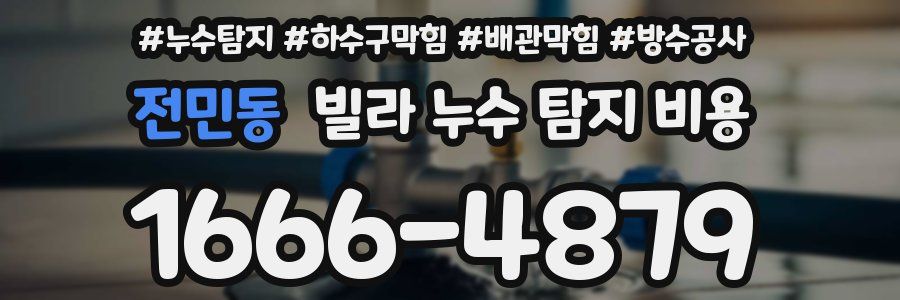 전민동 빌라 누수 탐지 비용