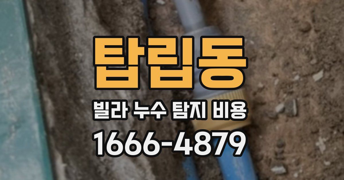 탑립동 빌라 누수 탐지 비용