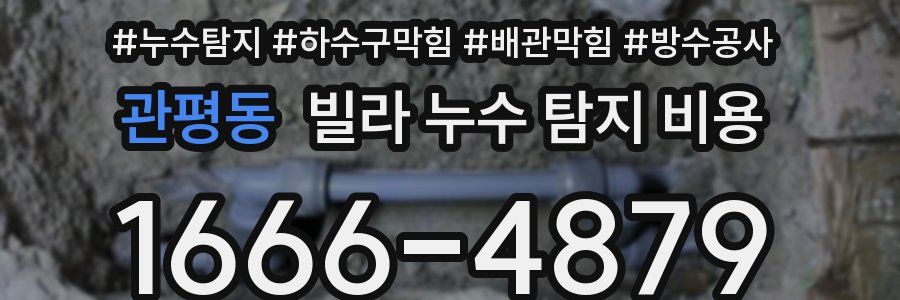 관평동 빌라 누수 탐지 비용