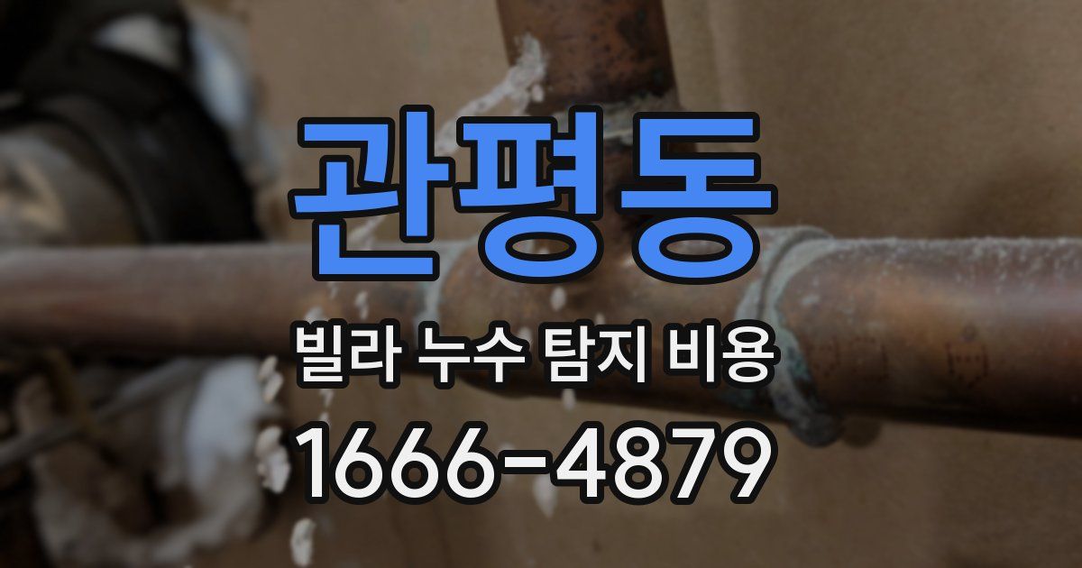 관평동 빌라 누수 탐지 비용