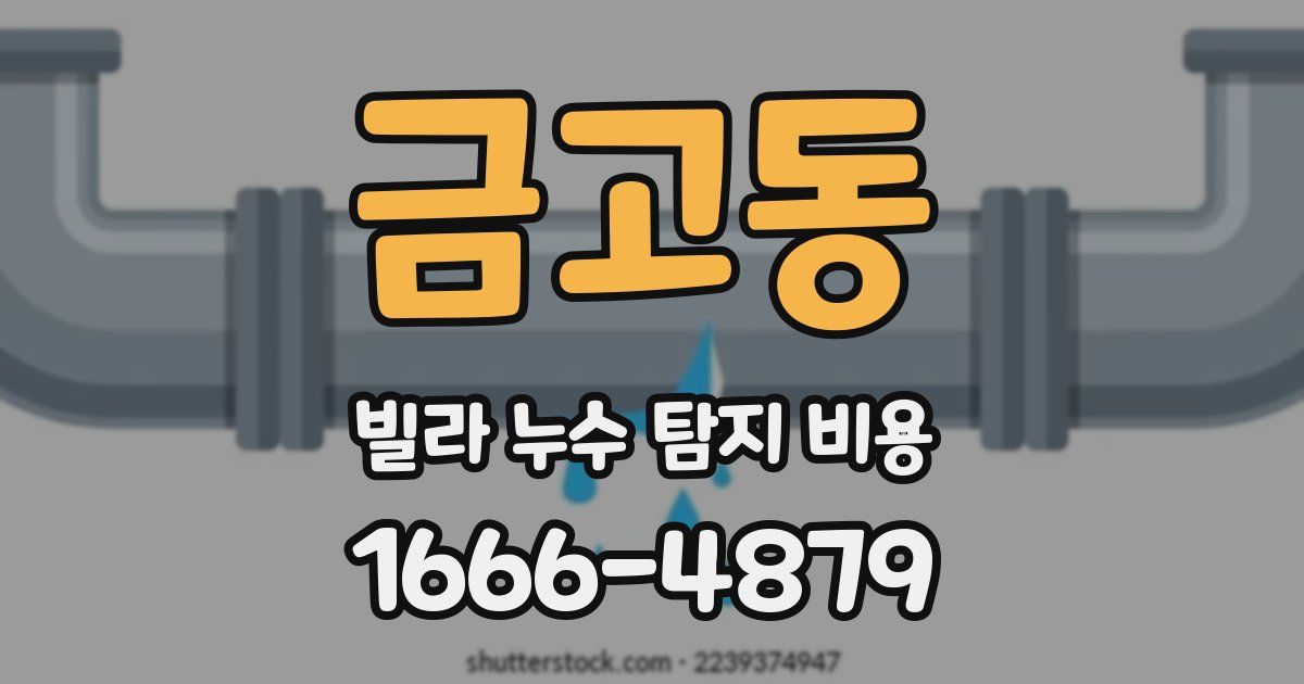 금고동 빌라 누수 탐지 비용