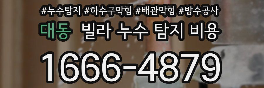 대동 빌라 누수 탐지 비용