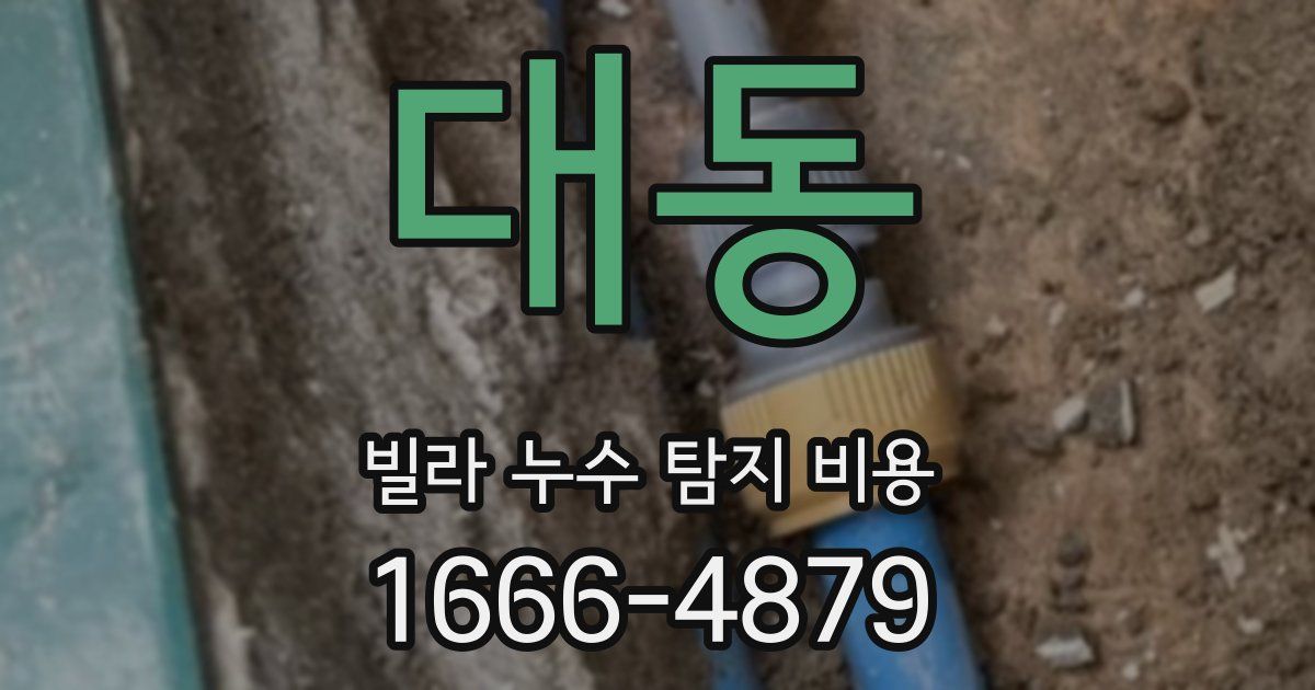대동 빌라 누수 탐지 비용