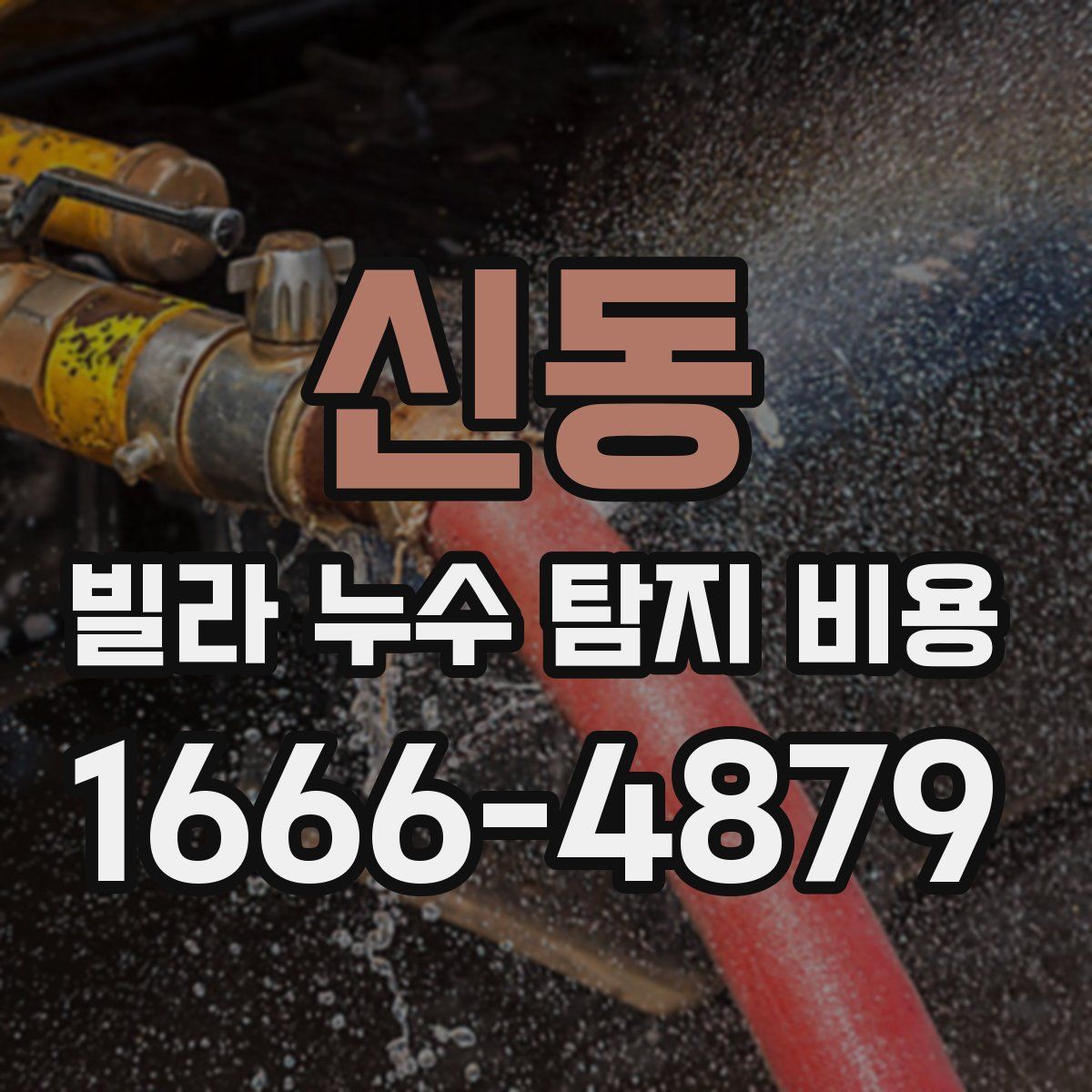 신동 빌라 누수 탐지 비용