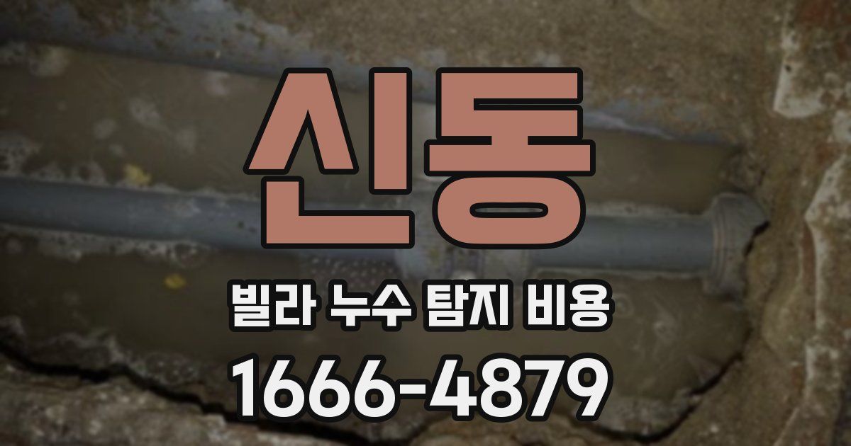 신동 빌라 누수 탐지 비용