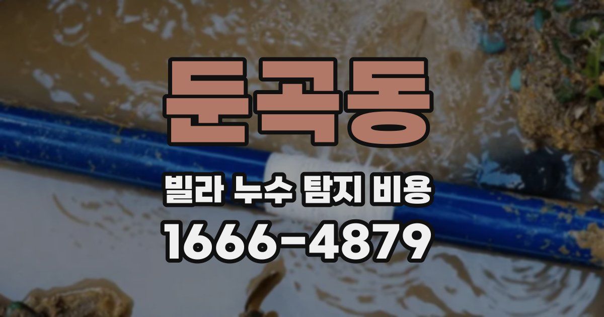 둔곡동 빌라 누수 탐지 비용