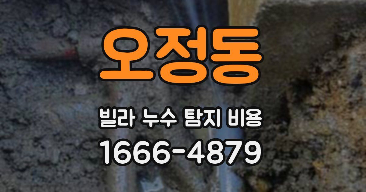 오정동 빌라 누수 탐지 비용