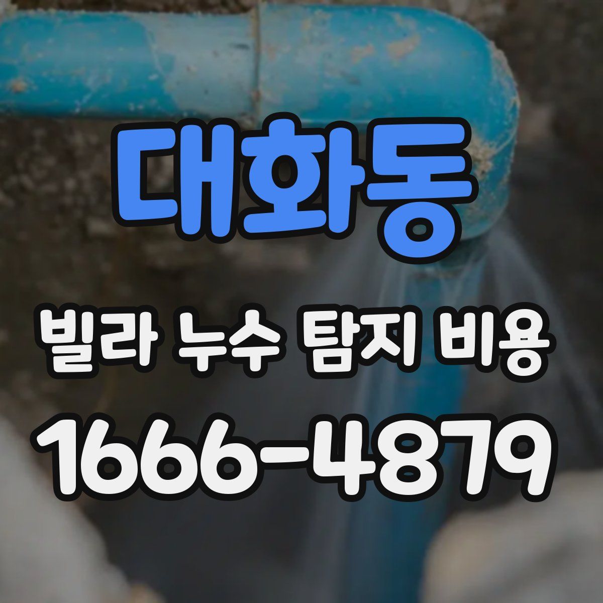 대화동 빌라 누수 탐지 비용