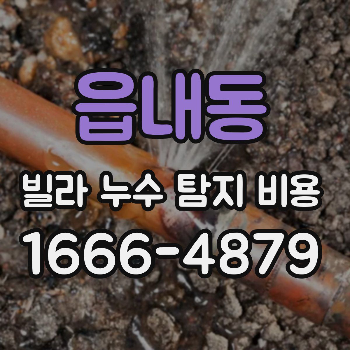 읍내동 빌라 누수 탐지 비용