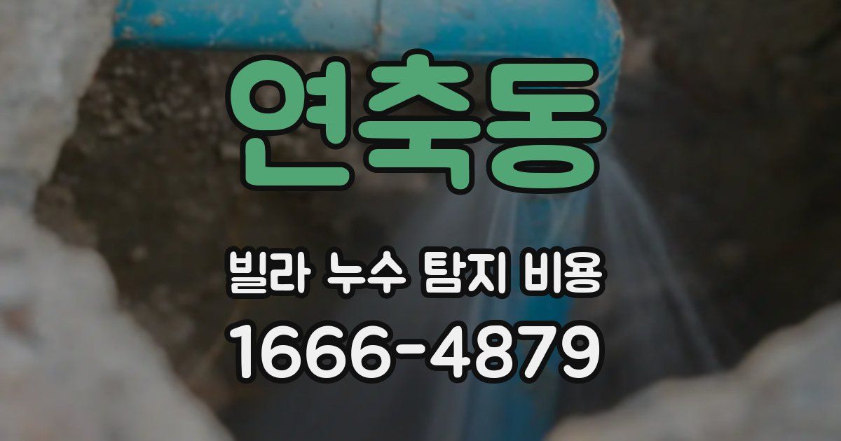 연축동 빌라 누수 탐지 비용