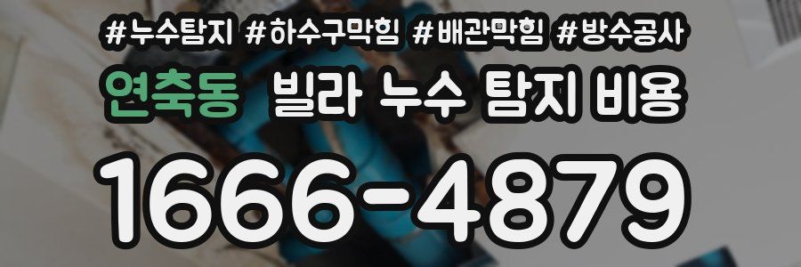 연축동 빌라 누수 탐지 비용