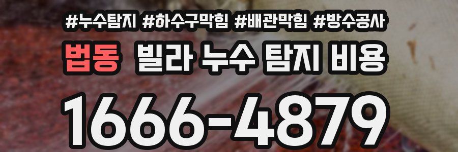 법동 빌라 누수 탐지 비용