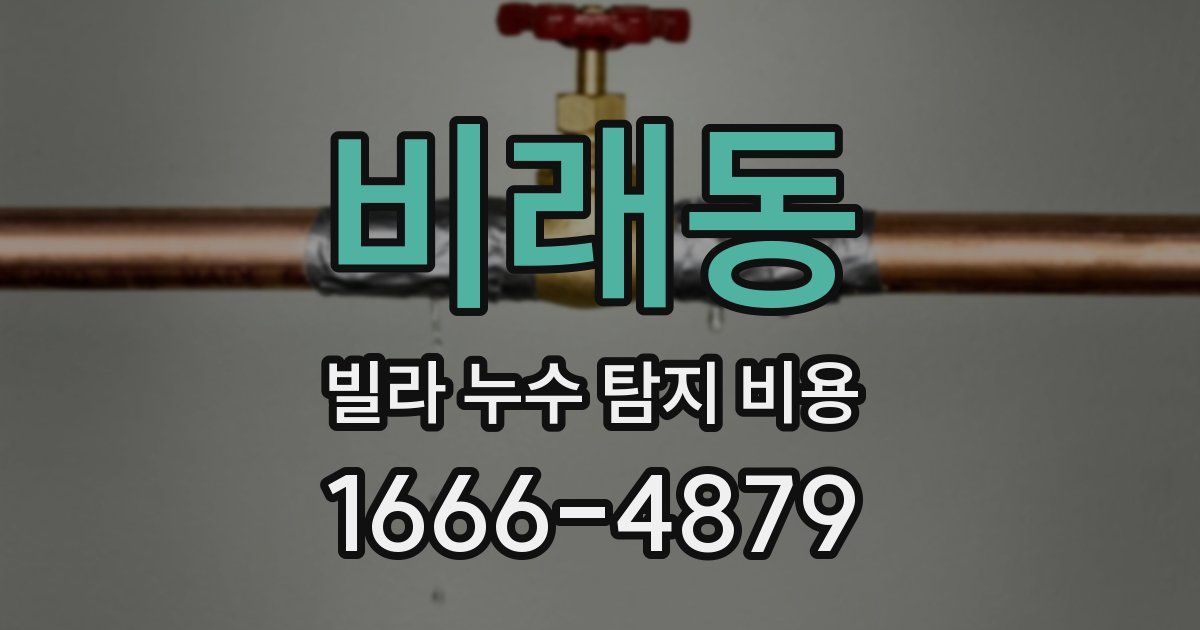 비래동 빌라 누수 탐지 비용