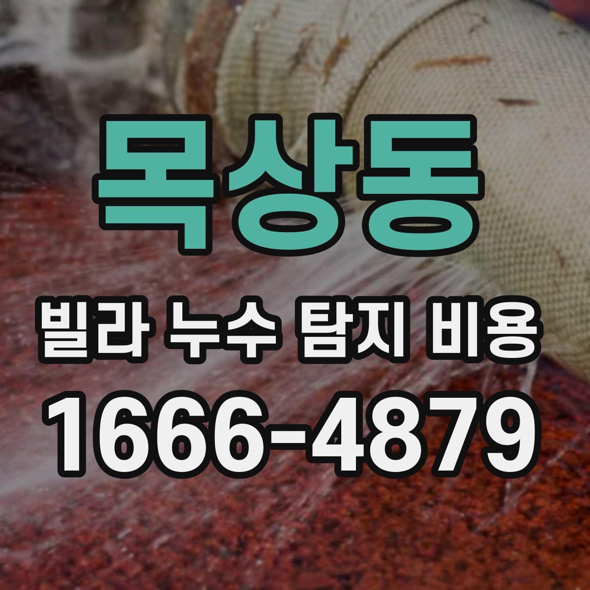 목상동 빌라 누수 탐지 비용
