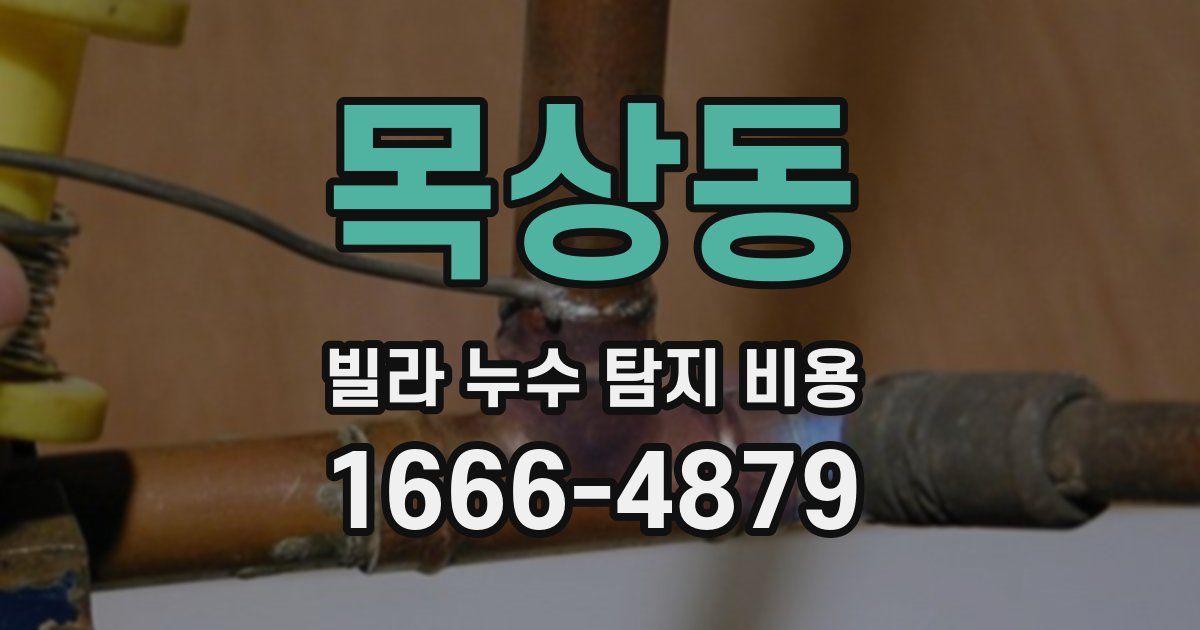 목상동 빌라 누수 탐지 비용