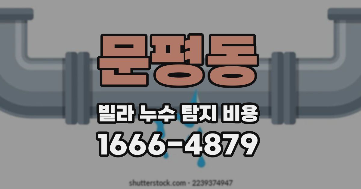 문평동 빌라 누수 탐지 비용