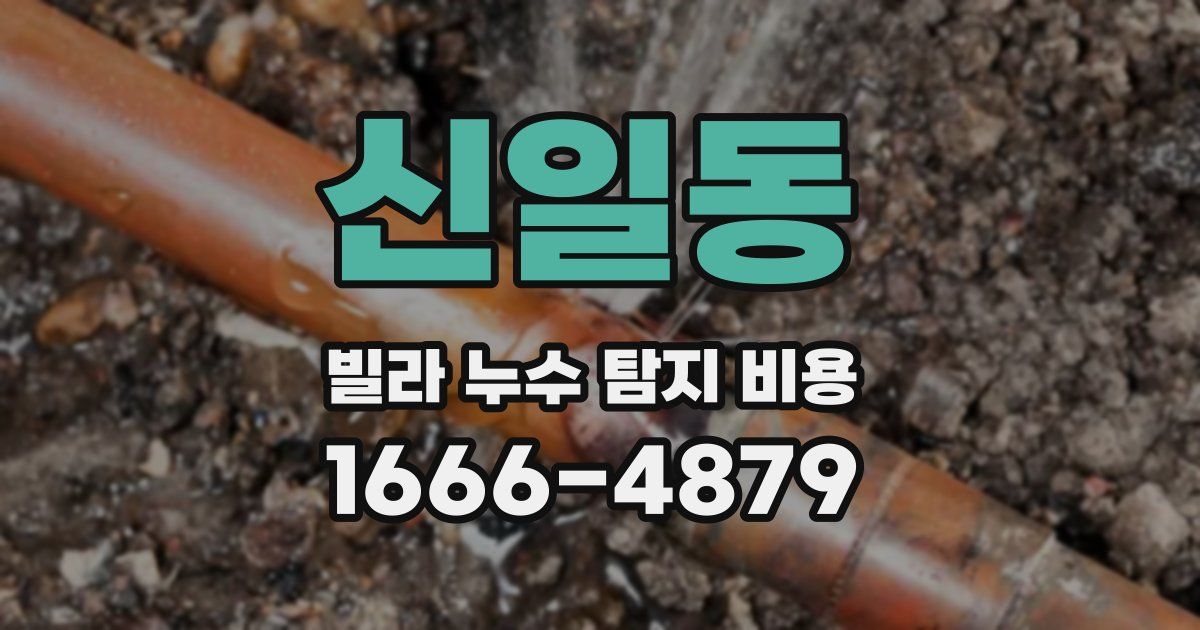 신일동 빌라 누수 탐지 비용