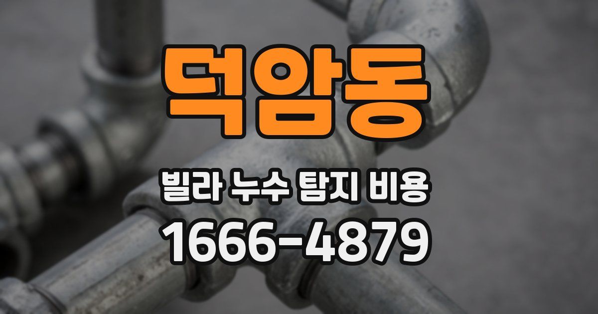 덕암동 빌라 누수 탐지 비용