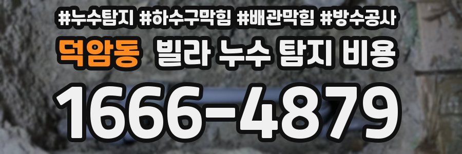 덕암동 빌라 누수 탐지 비용