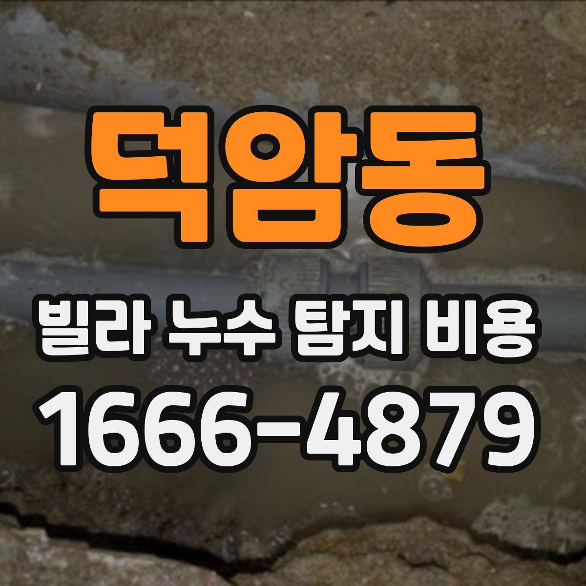 덕암동 빌라 누수 탐지 비용