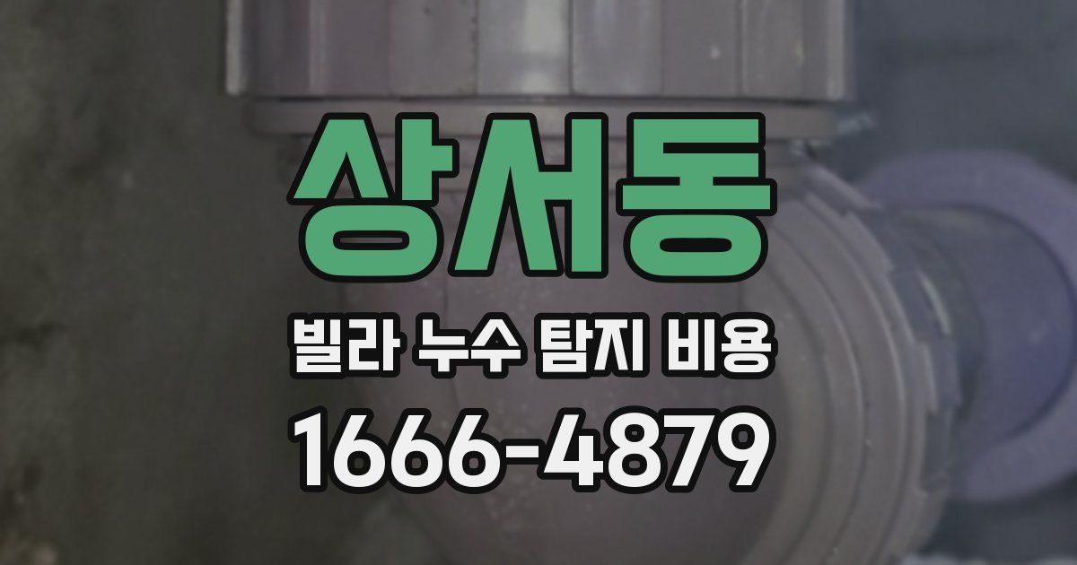 상서동 빌라 누수 탐지 비용