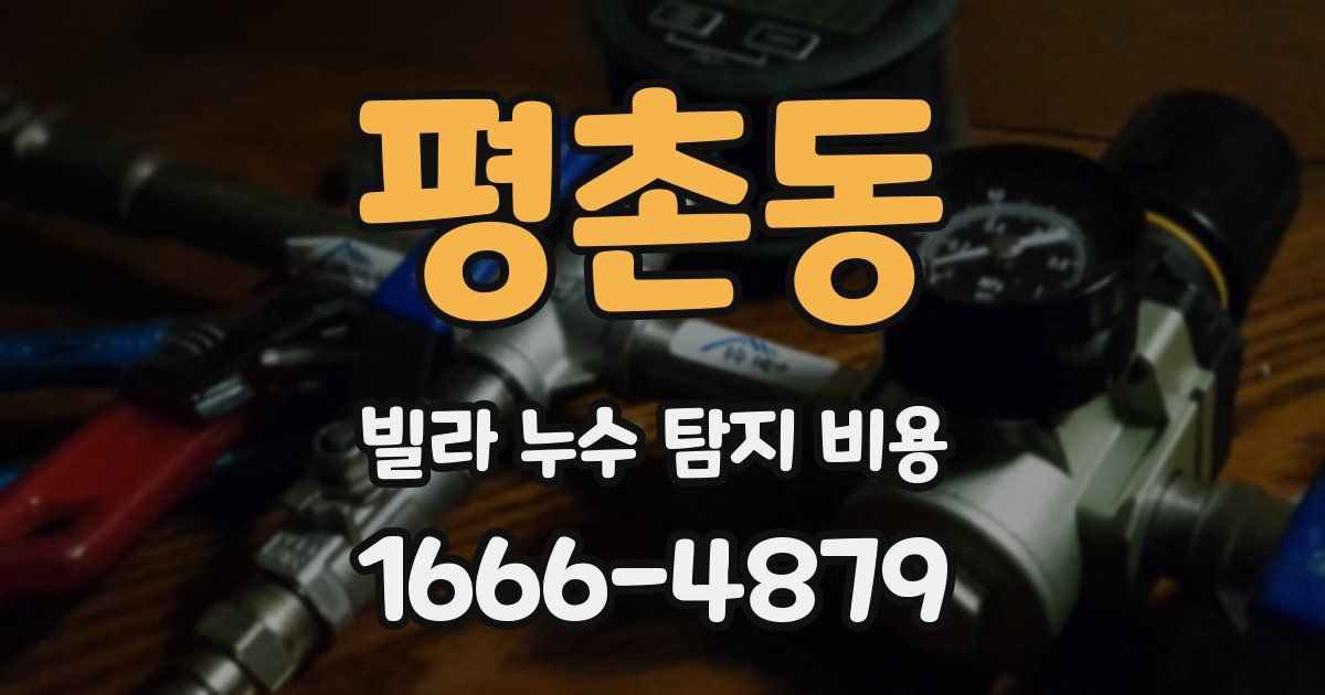 평촌동 빌라 누수 탐지 비용
