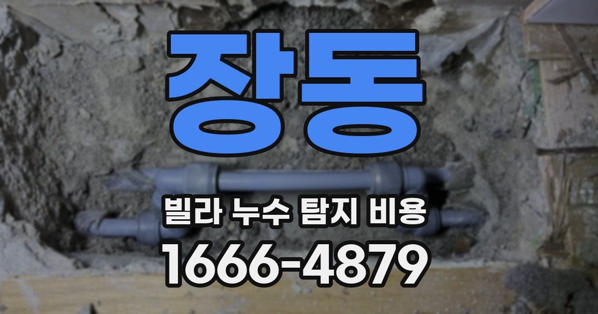 장동 빌라 누수 탐지 비용