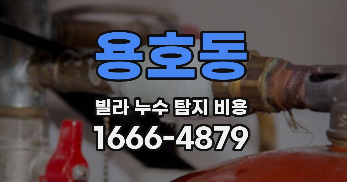 용호동 빌라 누수 탐지 비용