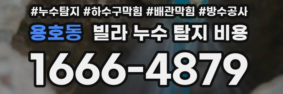 용호동 빌라 누수 탐지 비용