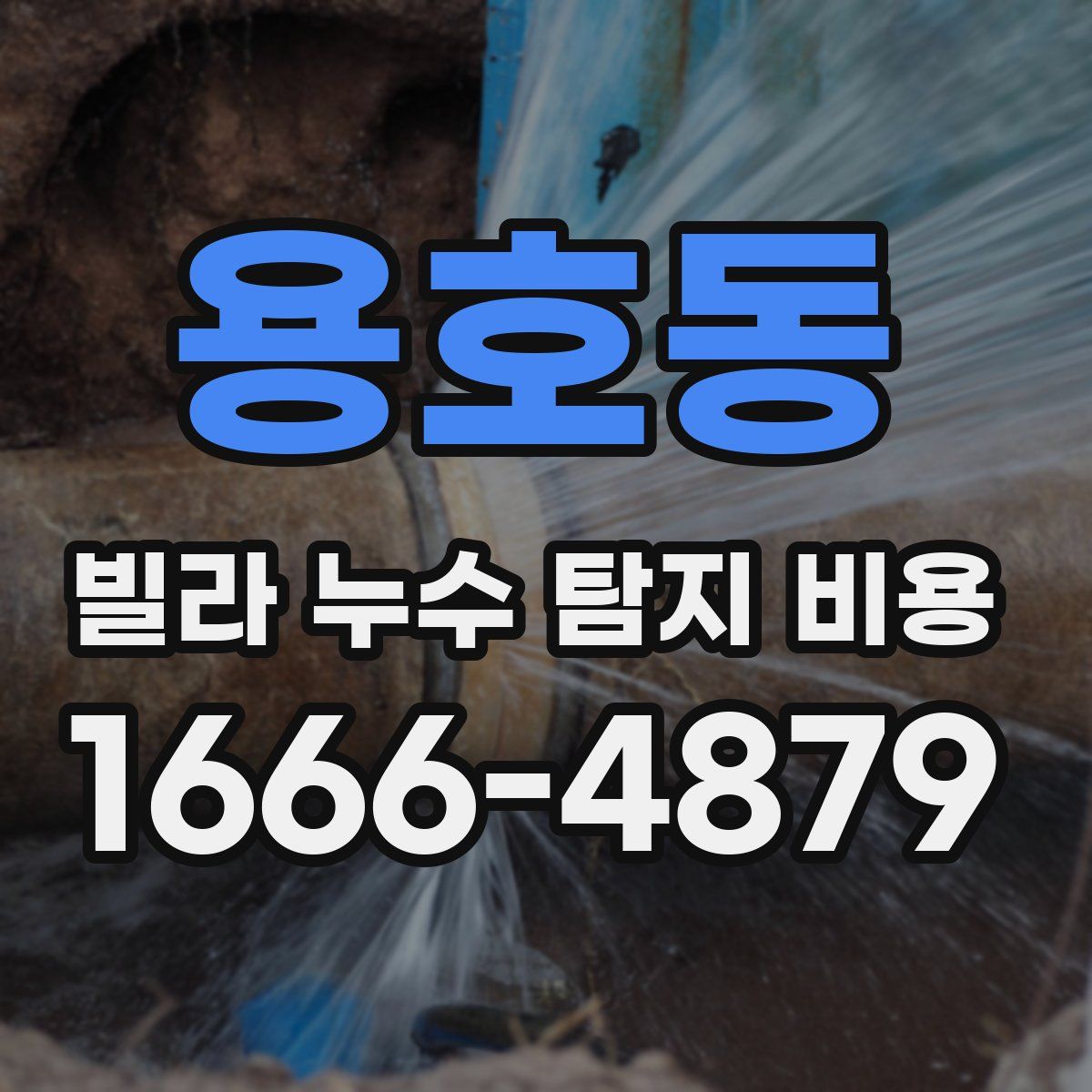 용호동 빌라 누수 탐지 비용