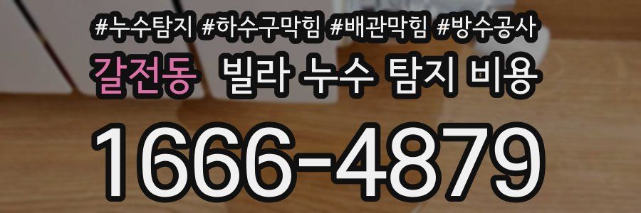 갈전동 빌라 누수 탐지 비용