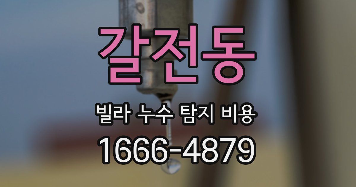 갈전동 빌라 누수 탐지 비용