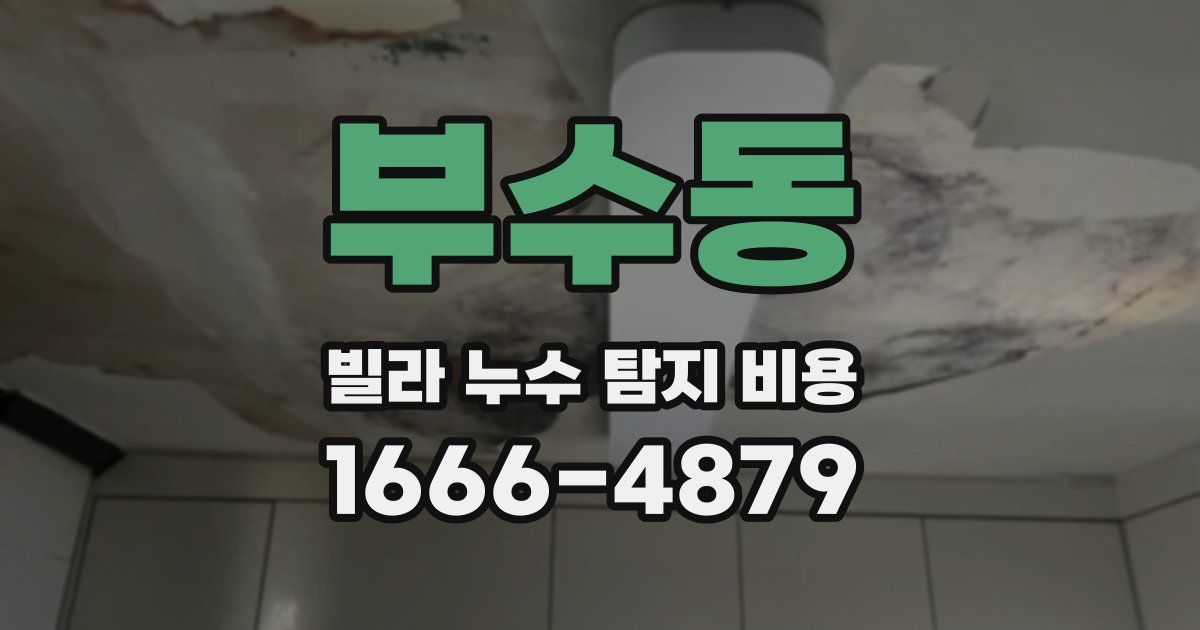 부수동 빌라 누수 탐지 비용