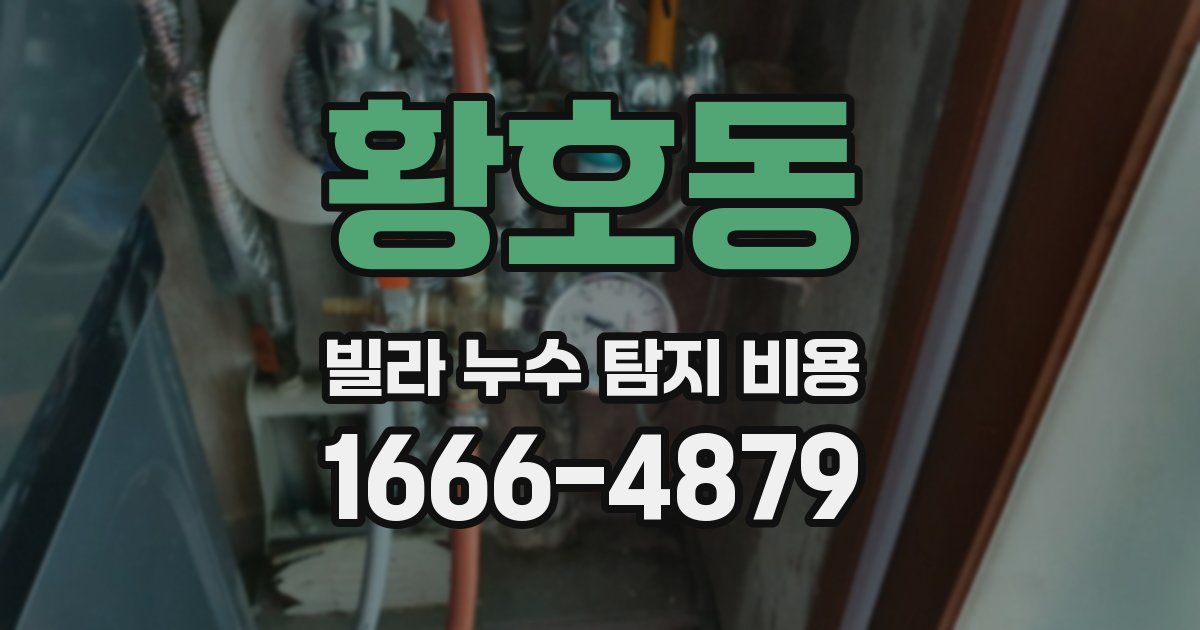 황호동 빌라 누수 탐지 비용