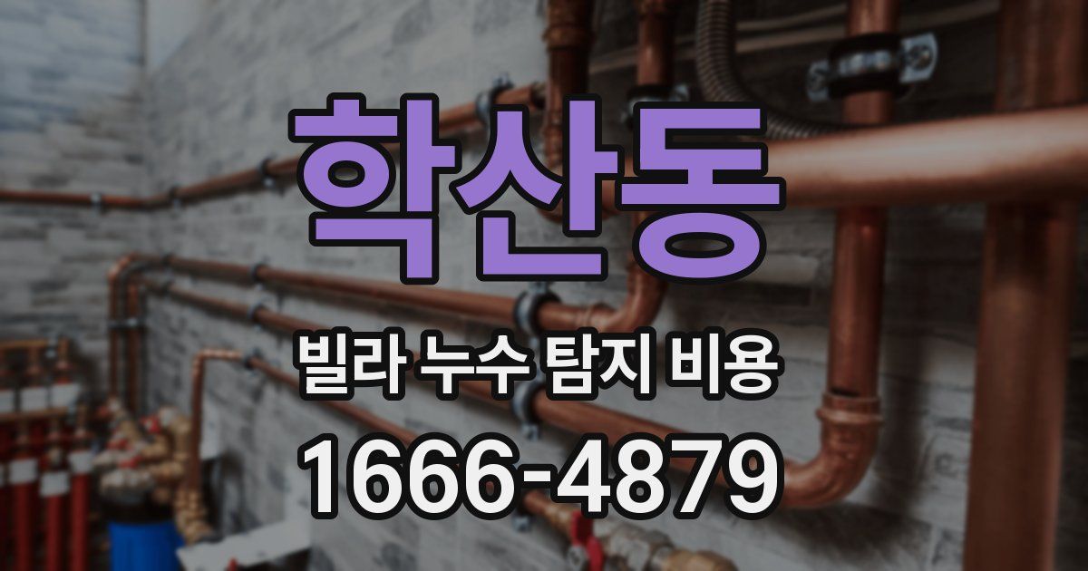 학산동 빌라 누수 탐지 비용