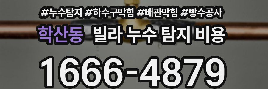 학산동 빌라 누수 탐지 비용