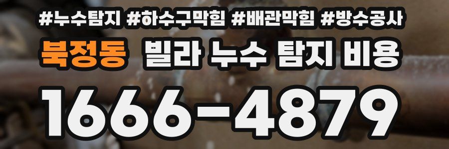 북정동 빌라 누수 탐지 비용