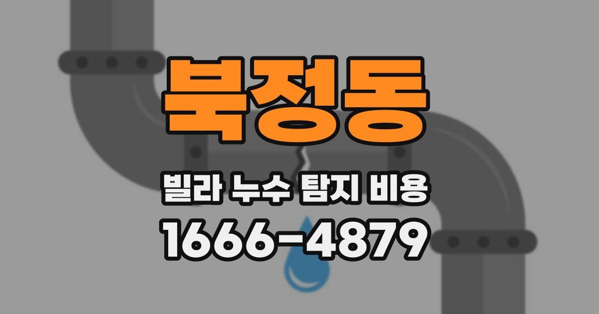 북정동 빌라 누수 탐지 비용