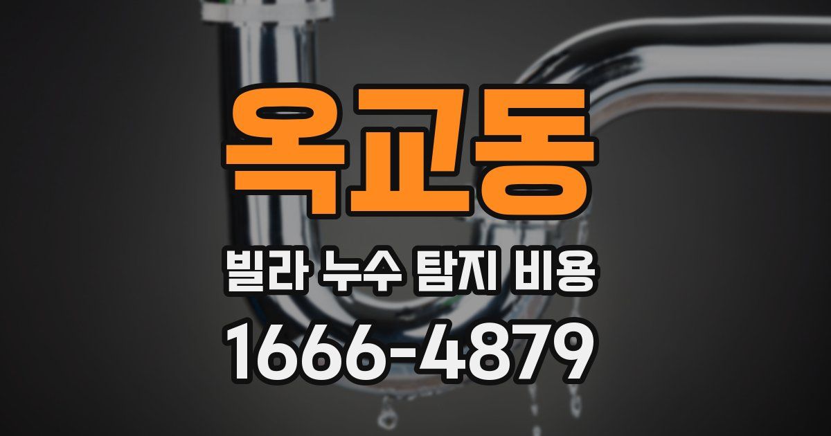 옥교동 빌라 누수 탐지 비용