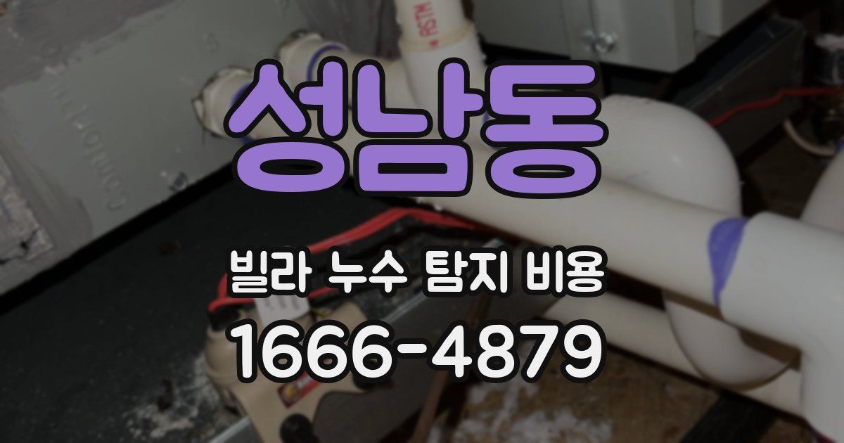 성남동 빌라 누수 탐지 비용