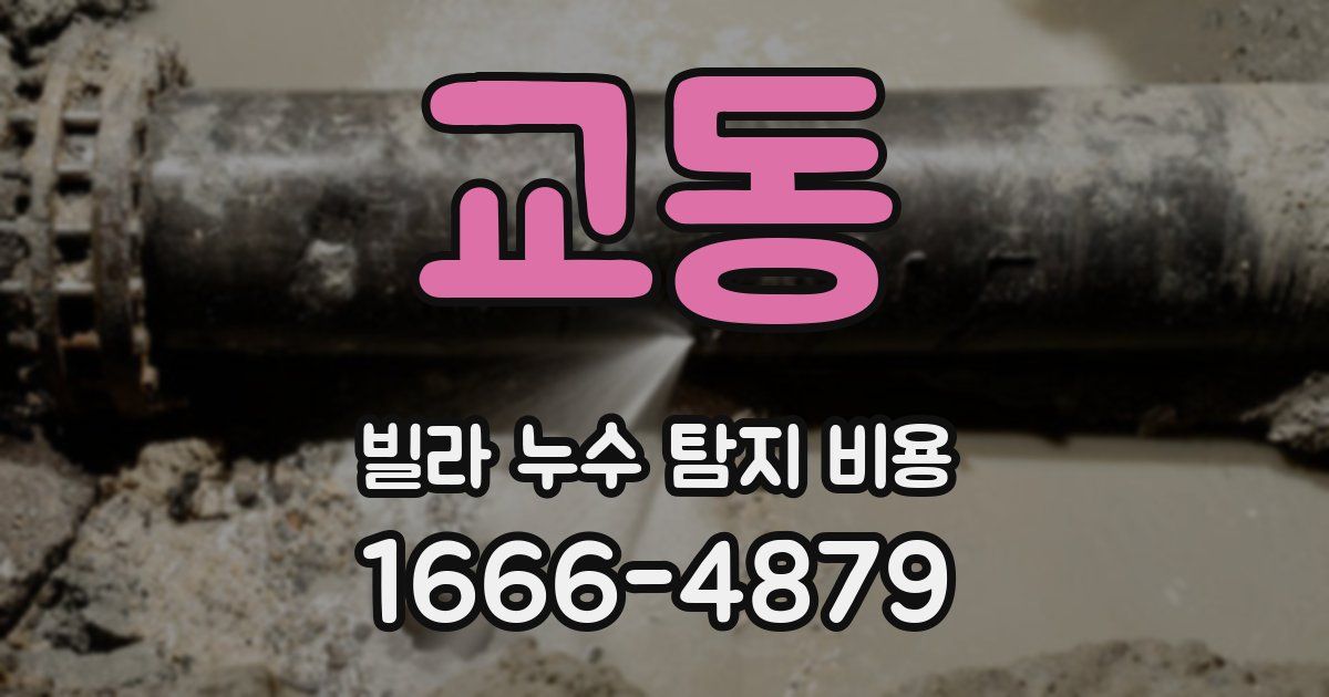 교동 빌라 누수 탐지 비용