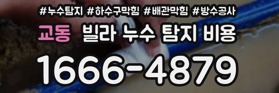 교동 빌라 누수 탐지 비용