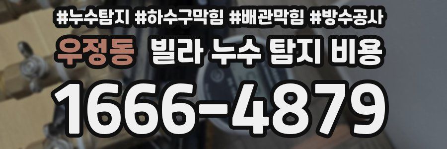 우정동 빌라 누수 탐지 비용