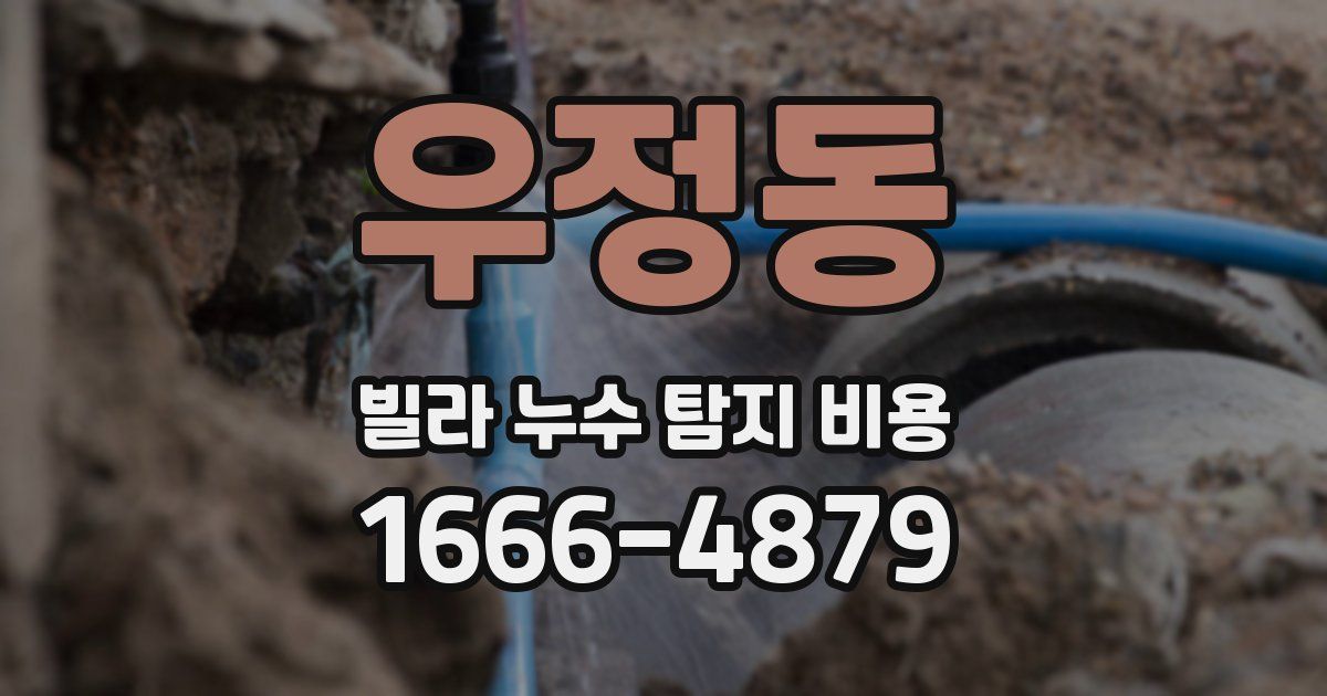 우정동 빌라 누수 탐지 비용