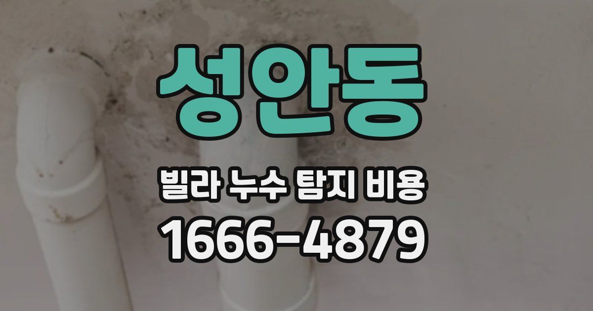 성안동 빌라 누수 탐지 비용