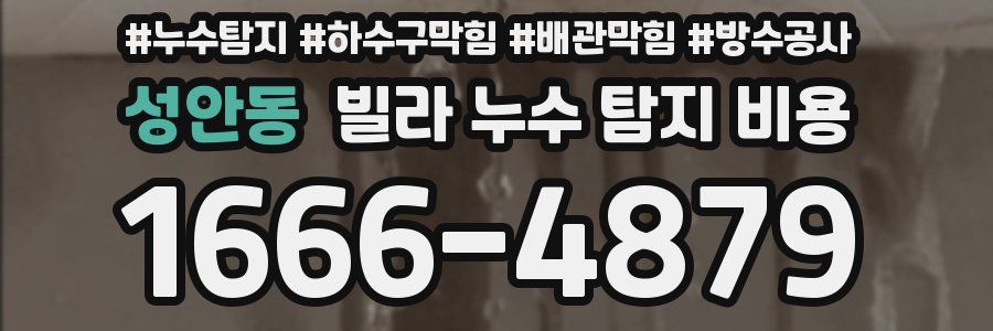 성안동 빌라 누수 탐지 비용